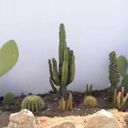 House Of Nikol - Cycladic Sensation 阿诺梅拉