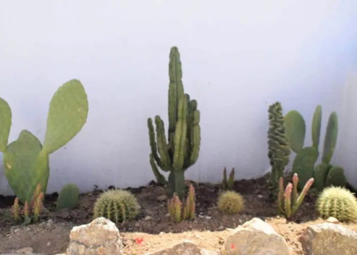 House Of Nikol - Cycladic Sensation Ano Mera